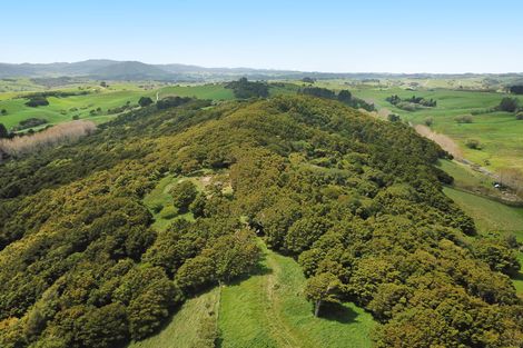 Photo of property in 542e Oneriri Road, Kaiwaka, 0573