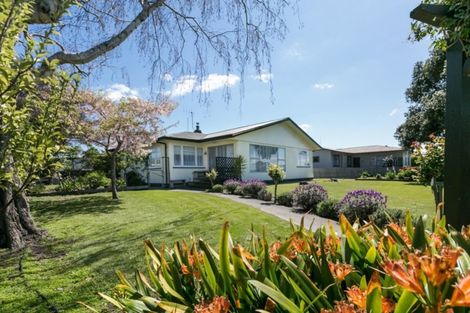 Photo of property in 6 Oxford Street, Taradale, Napier, 4112