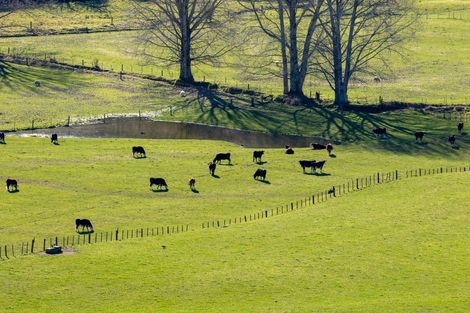 Photo of property in 14a Totara View Road, Wakefield, 7095