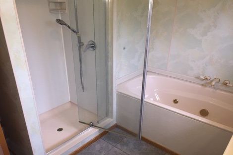 Photo of property in 18 Pine Avenue, Henderson, Auckland, 0612