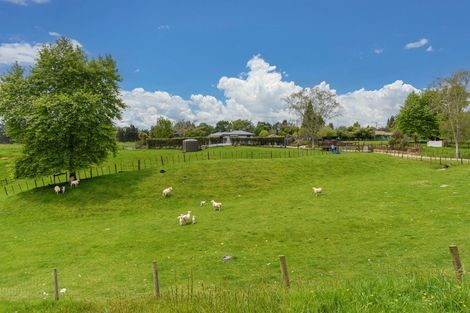 Photo of property in 1303 Oropi Road, Oropi, Tauranga, 3173