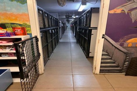 Photo of property in 140 Mako Mako Road, Levin, 5510