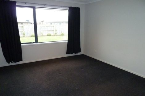 Photo of property in 17 Accolade Street, Feilding, 4702