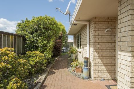 Photo of property in 59a Bayfair Drive, Mount Maunganui, 3116