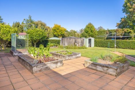 Photo of property in 283 Raynes Road, Rukuhia, Hamilton, 3282