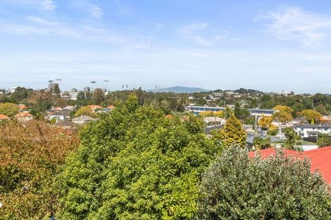 Photo of property in 19 Ridout Street, Maeroa, Hamilton, 3200