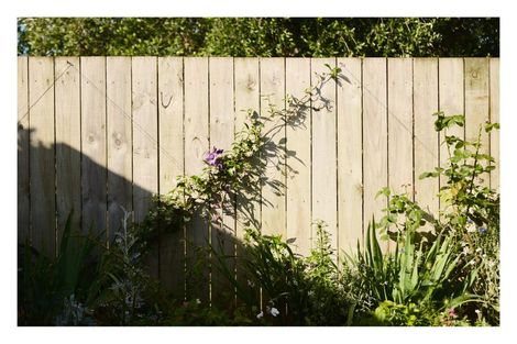 Photo of property in 19c Thames Road, Paeroa, 3600