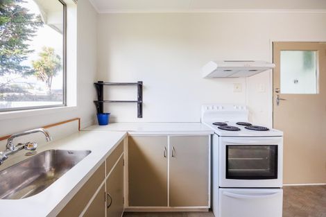 Photo of property in 101 Shamrock Street, Takaro, Palmerston North, 4412