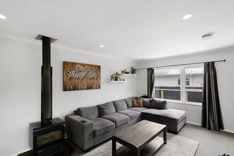 Photo of property in 60 Parker Avenue, Levin, 5510