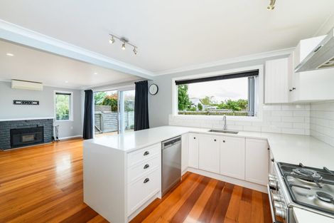 Photo of property in 51 Lincoln Street, Ashhurst, 4810