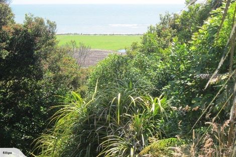 Photo of property in 146 Havill Drive, Awatuna, Hokitika, 7882