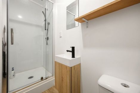 Photo of property in 11a Wellington Street, Hamilton East, Hamilton, 3216