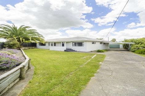 Photo of property in 101 West Street, Feilding, 4702