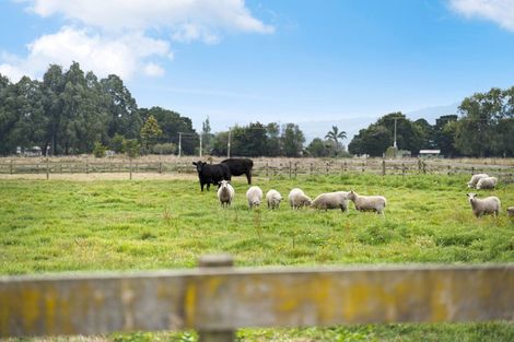 Photo of property in 14 Woodward Road, Orini, Taupiri, 3792