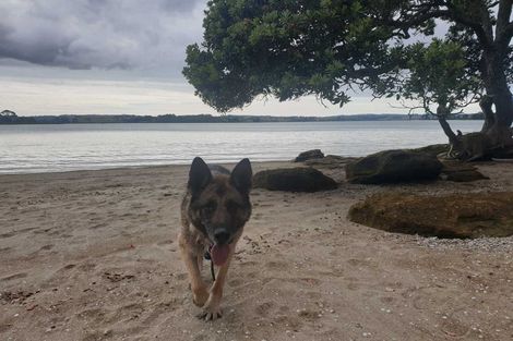 Photo of property in 76b Wharf Road, Clarks Beach, Pukekohe, 2679