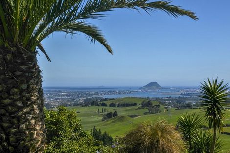 Photo of property in 11d Rowe Road, Ohauiti, Tauranga, 3173