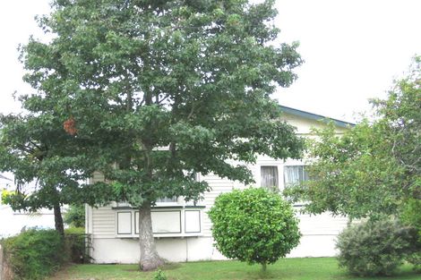 Photo of property in 3 Laurel Street, Mount Albert, Auckland, 1025