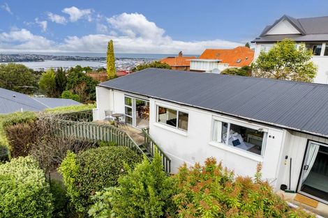 Photo of property in 18c Garfield Avenue, Roslyn, Dunedin, 9010