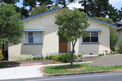 Photo of property in 44 Old Mill Road, Grey Lynn, Auckland, 1021