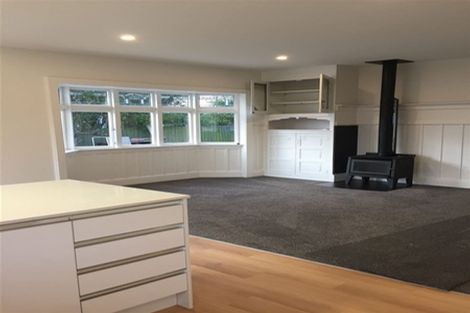 Photo of property in 51 Dudley Street, Richmond, Christchurch, 8013