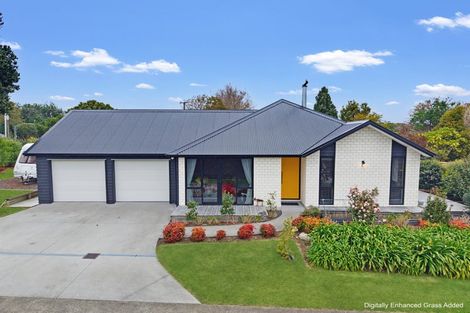 Photo of property in 189 Tanners Point Road, Tanners Point, Katikati, 3177