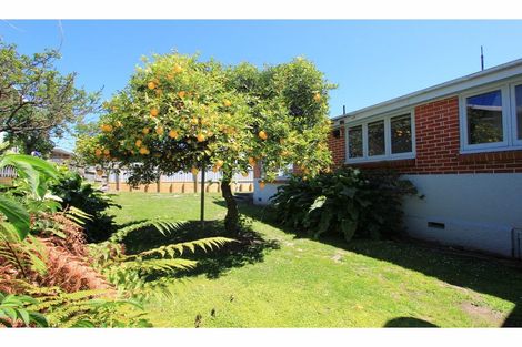 Photo of property in 6b Lucas Street, Riversdale, Blenheim, 7201