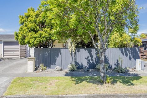 Photo of property in 41b Andrew Street, Waikanae, 5036