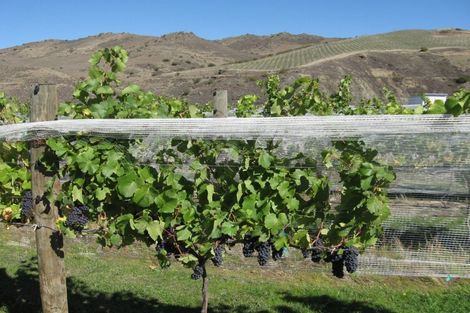 Photo of property in 1 Cairnmuir Crescent, Cromwell, 9310