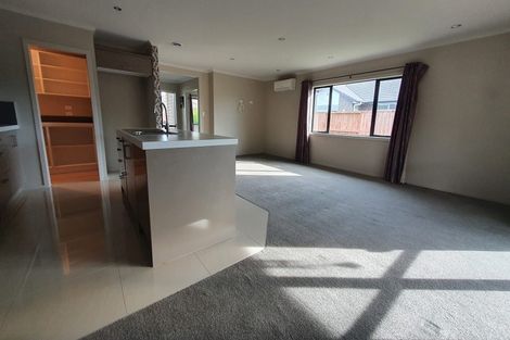 Photo of property in 14 Allgood Place, Rototuna North, Hamilton, 3210