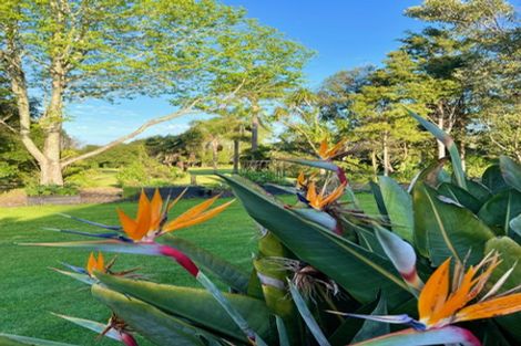 Photo of property in 114 Waipapa Road, Kerikeri, 0230