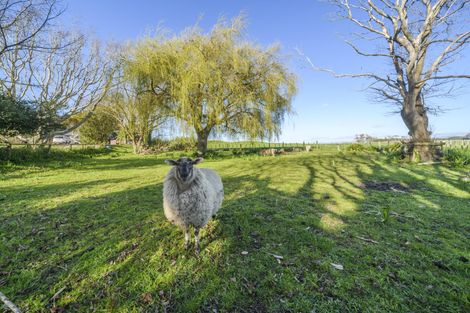 Photo of property in 1516 State Highway 1, Glen Oroua, Foxton, 4891