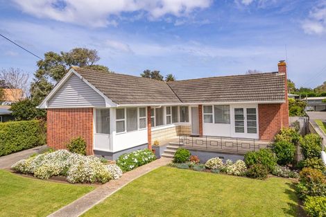 Photo of property in 46 Hadfield Crescent, College Estate, Whanganui, 4500