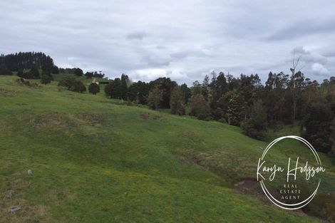 Photo of property in 184 Paparoa Station Road, Paparoa, 0571