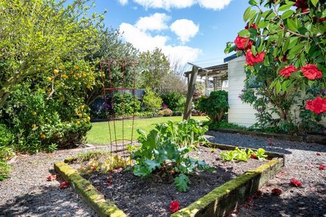 Photo of property in 40 Pipi Street, Te Awanga, 4102