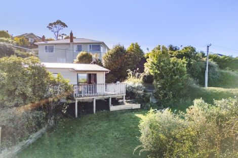 Photo of property in 43 Forfar Street, Clyde Hill, Dunedin, 9011
