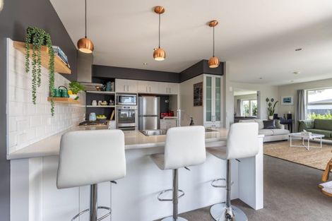 Photo of property in 16 Istana Place, Britannia Heights, Nelson, 7010