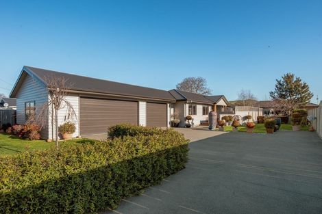 Photo of property in 10 Wilson Street, Seddon, 7210