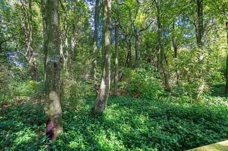 Photo of property in 21 Liverpool Street, Solway, Masterton, 5810