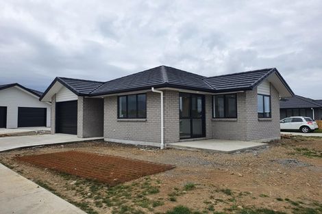 Photo of property in 69 Hinemoa Street, Levin, 5510