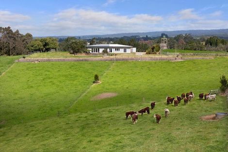 Photo of property in 291 Rea Road, Tahawai, 3178