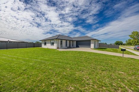 Photo of property in 92 Belgrove Drive, Waipukurau, 4200