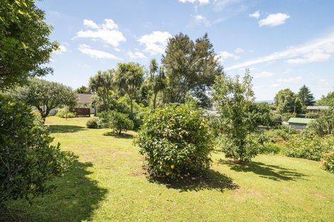 Photo of property in 5 Sholson Street, Putaruru, 3411