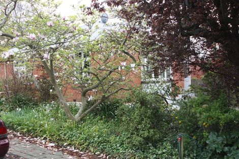 Photo of property in 205 York Place, Dunedin Central, Dunedin, 9016