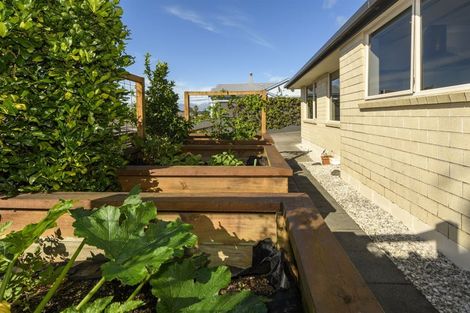 Photo of property in 85 Christopher Street, Tauranga South, Tauranga, 3112