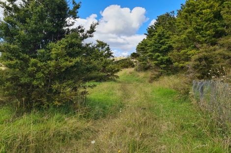 Photo of property in 304 Arapaoa Road, Tinopai, Matakohe, 0593