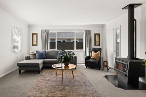 Photo of property in 49 Matariki Avenue, Frimley, Hastings, 4120