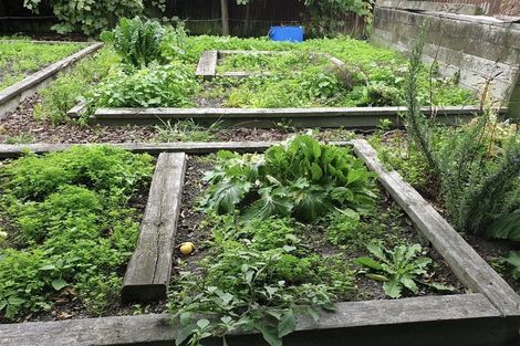 Photo of property in 41 Owen Road, Outer Kaiti, Gisborne, 4010