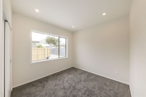 Photo of property in 94a Maxwells Line, Awapuni, Palmerston North, 4412
