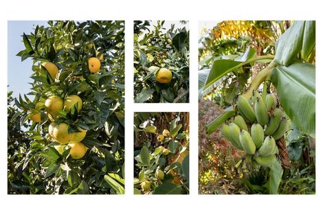 Photo of property in 240d Omokoroa Road, Omokoroa, Tauranga, 3114