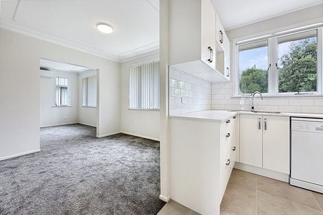 Photo of property in 29 Levonia Street, Morningside, Auckland, 1022